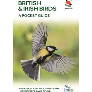 Princeton University Press British And Irish Birds : A Pocket Guide Princeton University Press British And Irish Birds : A Pocket Guide