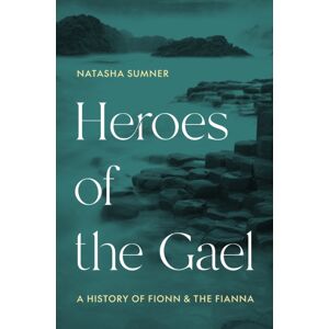 Princeton University Press Heroes Of The Gael : A History Of Fionn And The Fianna Princeton University Press Heroes Of The Gael : A History Of Fionn And The Fianna