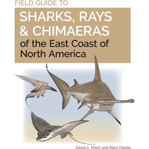 Princeton University Press Field Guide To Sharks, Rays And Chimaeras Of The East Coast Of North America Princeton University Press Field Guide To Sharks, Rays And Chimaeras Of The East Coast Of North America