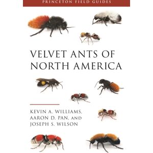 Princeton University Press Velvet Ants Of North America Princeton University Press Velvet Ants Of North America