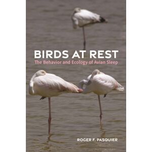 Princeton University Press Birds At Rest : The Behavior And Ecology Of Avian Sleep Princeton University Press Birds At Rest : The Behavior And Ecology Of Avian Sleep