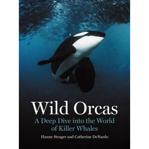 Princeton University Press Wild Orcas : A Deep Dive Into The World Of Killer Whales Princeton University Press Wild Orcas : A Deep Dive Into The World Of Killer Whales