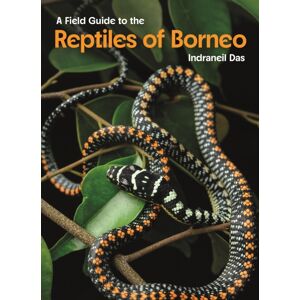 Princeton University Press Field Guide To The Reptiles Of Borneo Princeton University Press Field Guide To The Reptiles Of Borneo