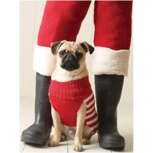 Galison Pug Elf Notecards Galison Pug Elf Notecards