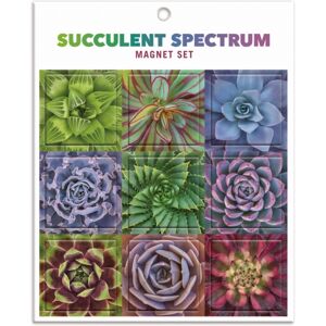 Galison Succulent Spectrum Magnet Set Galison Succulent Spectrum Magnet Set