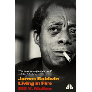 Pluto Press James Baldwin : Living In Fire Pluto Press James Baldwin : Living In Fire