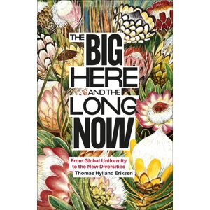 Pluto Press The Big Here And The Long Now : From Global Uniformity To The Diversities Pluto Press The Big Here And The Long Now : From Global Uniformity To The Diversities