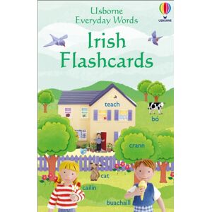 Usborne Publishing Ltd Everyday Words In Irish Flashcards Usborne Publishing Ltd Everyday Words In Irish Flashcards