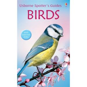 Usborne Publishing Ltd Birds Usborne Publishing Ltd Birds
