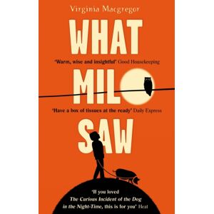 Little, Brown Book Group What Milo Saw : He Sees The World In A Very Special Way . . . Little, Brown Book Group What Milo Saw : He Sees The World In A Very Special Way . . .