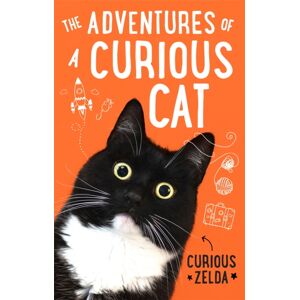 Little, Brown Book Group The Adventures Of A Curious Cat : Wit And Wisdom From Curious Zelda, Purrfect For Cats And Their Humans Little, Brown Book Group The Adventures Of A Curious Cat : Wit And Wisdom From Curious Zelda, Purrfect For Cats And Their Humans