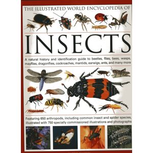 Anness Publishing The Illustrated World Encyclopaedia Of Insects : A Natural History And Identification Guide To Beetles, Flies, Bees Wasps, Springtails, Mayflies, Stoneflies, Dragonflies, Damselflies, Cockroaches, Man Anness Publishing The Illustrated World Encyclopaedia Of Insects : A Natural History And Identification Guide To Beetles, Flies, Bees Wasps, Springtails, Mayflies, Stoneflies, Dragonflies, Damselflies, Cockroaches, Man