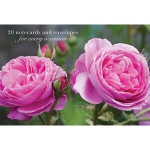 Anness Publishing Card Box Of 20 Notecards And Envelopes: Pink Rose Anness Publishing Card Box Of 20 Notecards And Envelopes: Pink Rose