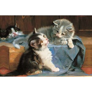 Anness Publishing Memo Block: Kittens : High-Quality Block Of Notepapers In A Presentation Cube Box With Built-In Drawer Anness Publishing Memo Block: Kittens : High-Quality Block Of Notepapers In A Presentation Cube Box With Built-In Drawer