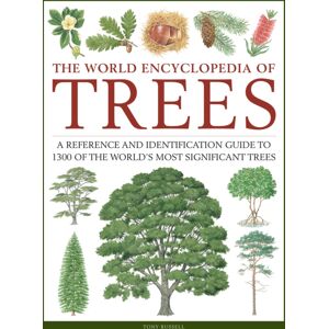 Anness Publishing Trees, The World Encyclopedia Of : A Reference And Identification Guide To 1300 Of The World'S Most Significant Trees Anness Publishing Trees, The World Encyclopedia Of : A Reference And Identification Guide To 1300 Of The World'S Most Significant Trees