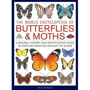 Anness Publishing Butterflies & Moths, The World Encyclopedia Of : A Natural History And Identification Guide To Over 565 Varieties Around The Globe Anness Publishing Butterflies & Moths, The World Encyclopedia Of : A Natural History And Identification Guide To Over 565 Varieties Around The Globe