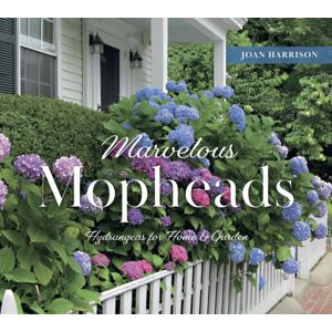Schiffer Publishing Ltd Marvelous Mopheads : Hydrangeas For Home & Garden Schiffer Publishing Ltd Marvelous Mopheads : Hydrangeas For Home & Garden