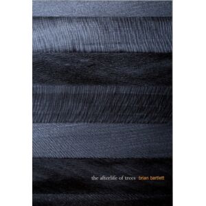 McGill-Queen's University Press The Afterlife Of Trees McGill-Queen's University Press The Afterlife Of Trees