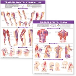 Lippincott Williams and Wilkins Trigger Point Chart Set: Torso & Extremities Lam Lippincott Williams and Wilkins Trigger Point Chart Set: Torso & Extremities Lam