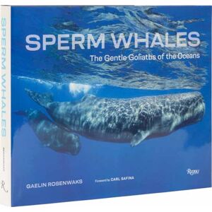 Rizzoli International Publications Sperm Whales : The Gentle Goliaths Of The Ocean Rizzoli International Publications Sperm Whales : The Gentle Goliaths Of The Ocean