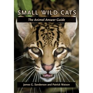 Johns Hopkins University Press Small Wild Cats : The Animal Answer Guide Johns Hopkins University Press Small Wild Cats : The Animal Answer Guide