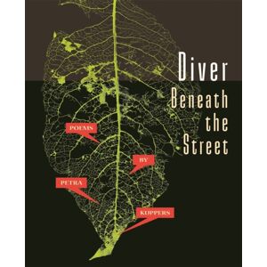 Wayne State University Press Diver Beneath The Street Wayne State University Press Diver Beneath The Street
