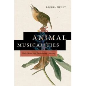 Wesleyan University Press Animal Musicalities : Birds, Beasts, And Evolutionary Listening Wesleyan University Press Animal Musicalities : Birds, Beasts, And Evolutionary Listening