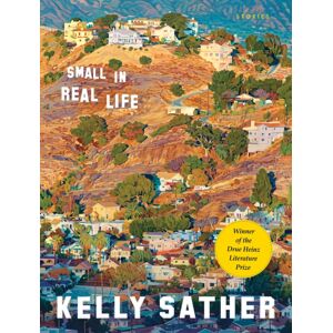 University of Pittsburgh Press Small In Real Life : Stories University of Pittsburgh Press Small In Real Life : Stories