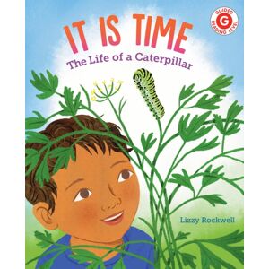 Holiday House Inc It Is Time : The Life Of A Caterpillar Holiday House Inc It Is Time : The Life Of A Caterpillar