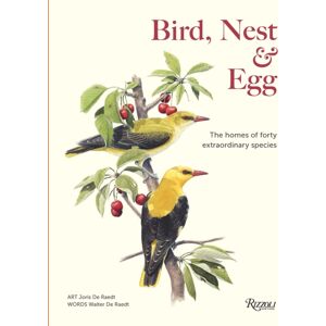 Rizzoli International Publications Bird, Nest & Egg : The Homes Of Forty Species Rizzoli International Publications Bird, Nest & Egg : The Homes Of Forty Species