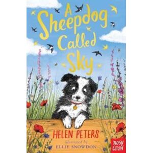 Nosy Crow Ltd A Sheepdog Called Sky Nosy Crow Ltd A Sheepdog Called Sky