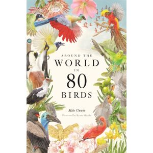 Orion Publishing Co Around The World In 80 Birds Orion Publishing Co Around The World In 80 Birds