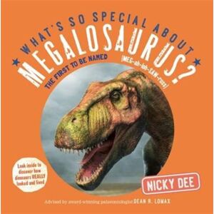Dragonfly Group Ltd What'S So Special About Megalosaurus? Dragonfly Group Ltd What'S So Special About Megalosaurus?