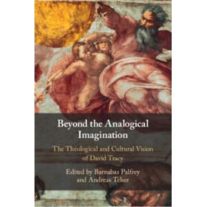 Cambridge University Press Beyond The Analogical Imagination : The Theological And Cultural Vision Of David Tracy Cambridge University Press Beyond The Analogical Imagination : The Theological And Cultural Vision Of David Tracy
