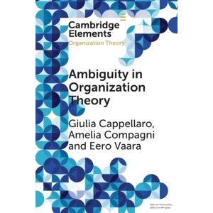 Cambridge University Press Ambiguity In Organization Theory : From Intrinsic To Strategic Perspectives Cambridge University Press Ambiguity In Organization Theory : From Intrinsic To Strategic Perspectives