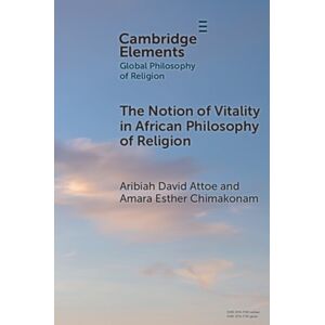 Cambridge University Press The Notion Of Vitality In African Philosophy Of Religion Cambridge University Press The Notion Of Vitality In African Philosophy Of Religion