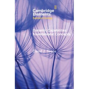Cambridge University Press Dynamic Capabilities : Foundational Concepts Cambridge University Press Dynamic Capabilities : Foundational Concepts