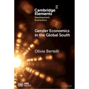 Cambridge University Press Gender Economics In The Global South Cambridge University Press Gender Economics In The Global South