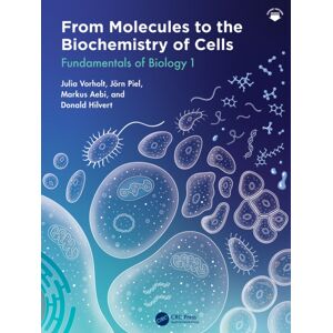Taylor & Francis Ltd From Molecules To The Biochemistry Of Cells : Fundamentals Of Biology 1 Taylor & Francis Ltd From Molecules To The Biochemistry Of Cells : Fundamentals Of Biology 1