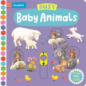 Pan Macmillan Busy Baby Animals : A Push, Pull, Slide Book Pan Macmillan Busy Baby Animals : A Push, Pull, Slide Book