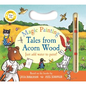 Pan Macmillan Tales From Acorn Wood Magic Painting Pan Macmillan Tales From Acorn Wood Magic Painting