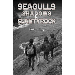Austin Macauley Publishers Seagulls Shadows On Slantyrock Austin Macauley Publishers Seagulls Shadows On Slantyrock