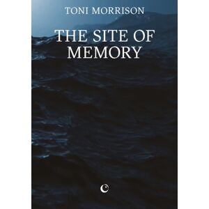 Silver Press The Site Of Memory Silver Press The Site Of Memory