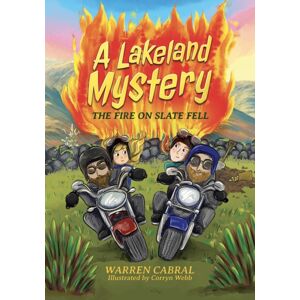 Wilton Books Ltd The Fire On Slate Fell Wilton Books Ltd The Fire On Slate Fell