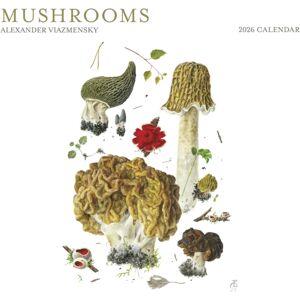 Pomegranate Mushrooms: Alexander Viazmensky 2026 Wall Calendar Pomegranate Mushrooms: Alexander Viazmensky 2026 Wall Calendar