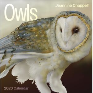 Pomegranate Owls: Jeannine Chappell 2026 Wall Calendar Pomegranate Owls: Jeannine Chappell 2026 Wall Calendar