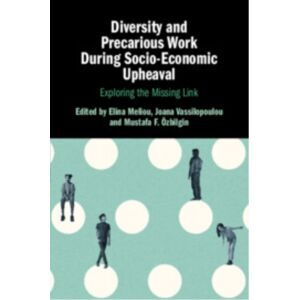 Cambridge University Press Diversity And Precarious Work During Socio-Economic Upheaval : Exploring The Missing Link Cambridge University Press Diversity And Precarious Work During Socio-Economic Upheaval : Exploring The Missing Link