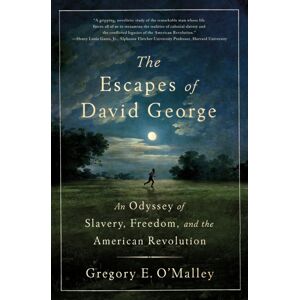 St Martin's Press The Escapes Of David George : An Odyssey Of Slavery, Freedom, And The American Revolution St Martin's Press The Escapes Of David George : An Odyssey Of Slavery, Freedom, And The American Revolution