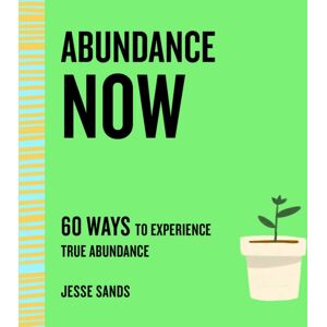 St Martin's Press Abundance Now : 60 Ways To Experience True Abundance St Martin's Press Abundance Now : 60 Ways To Experience True Abundance