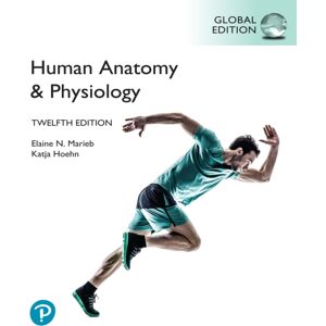 Pearson Education Limited Human Anatomy & Physiology, Global Edition Pearson Education Limited Human Anatomy & Physiology, Global Edition